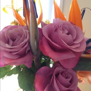 Meet your Posher, Gaudencia